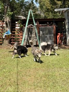 Listing image 10464