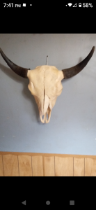 Listing image 10410